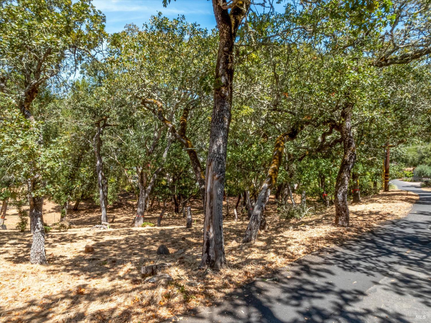 Property photo 21