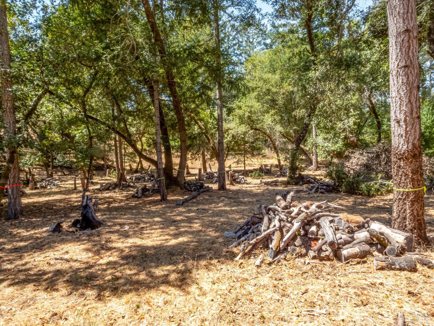 Property photo 23