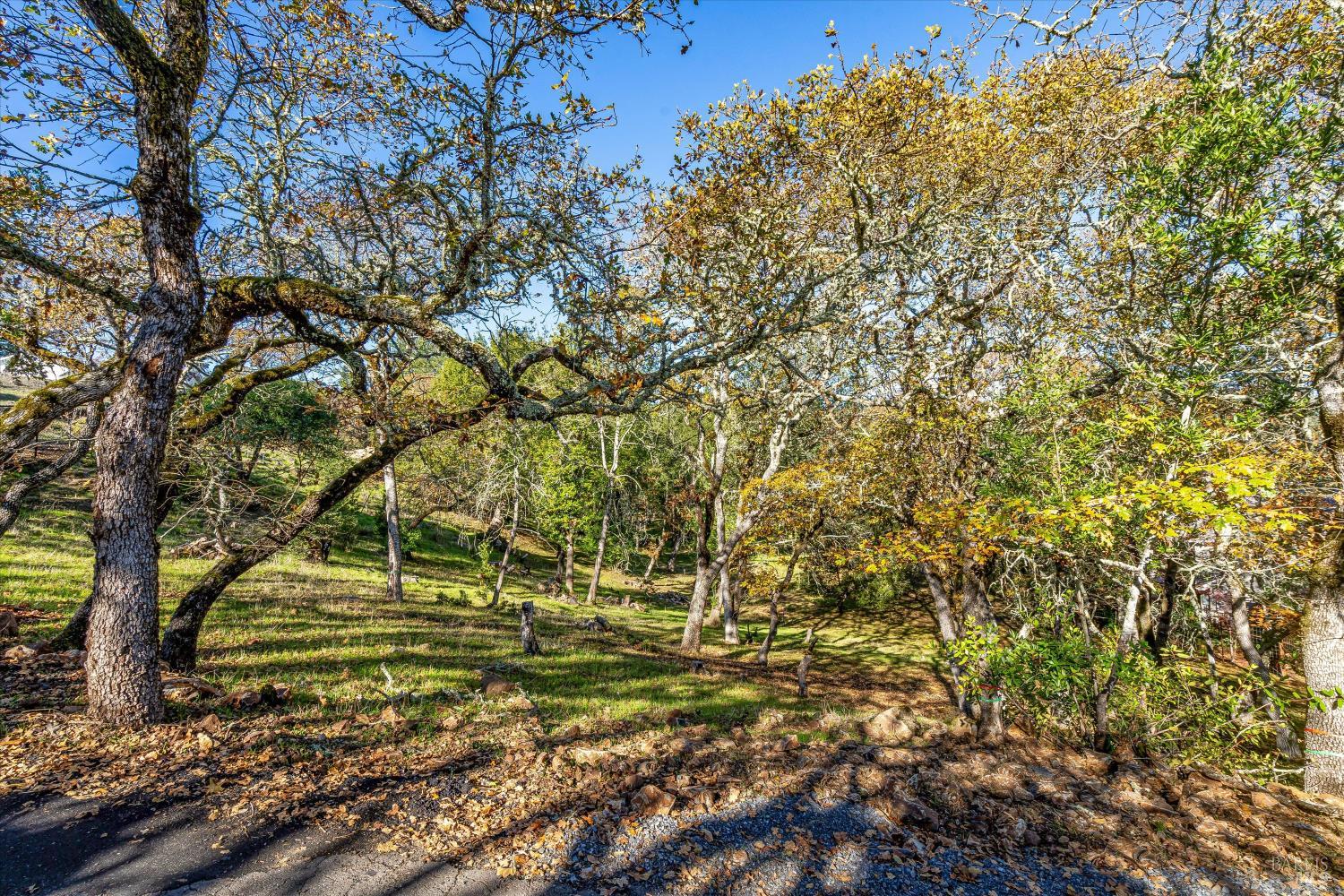 Property photo 24