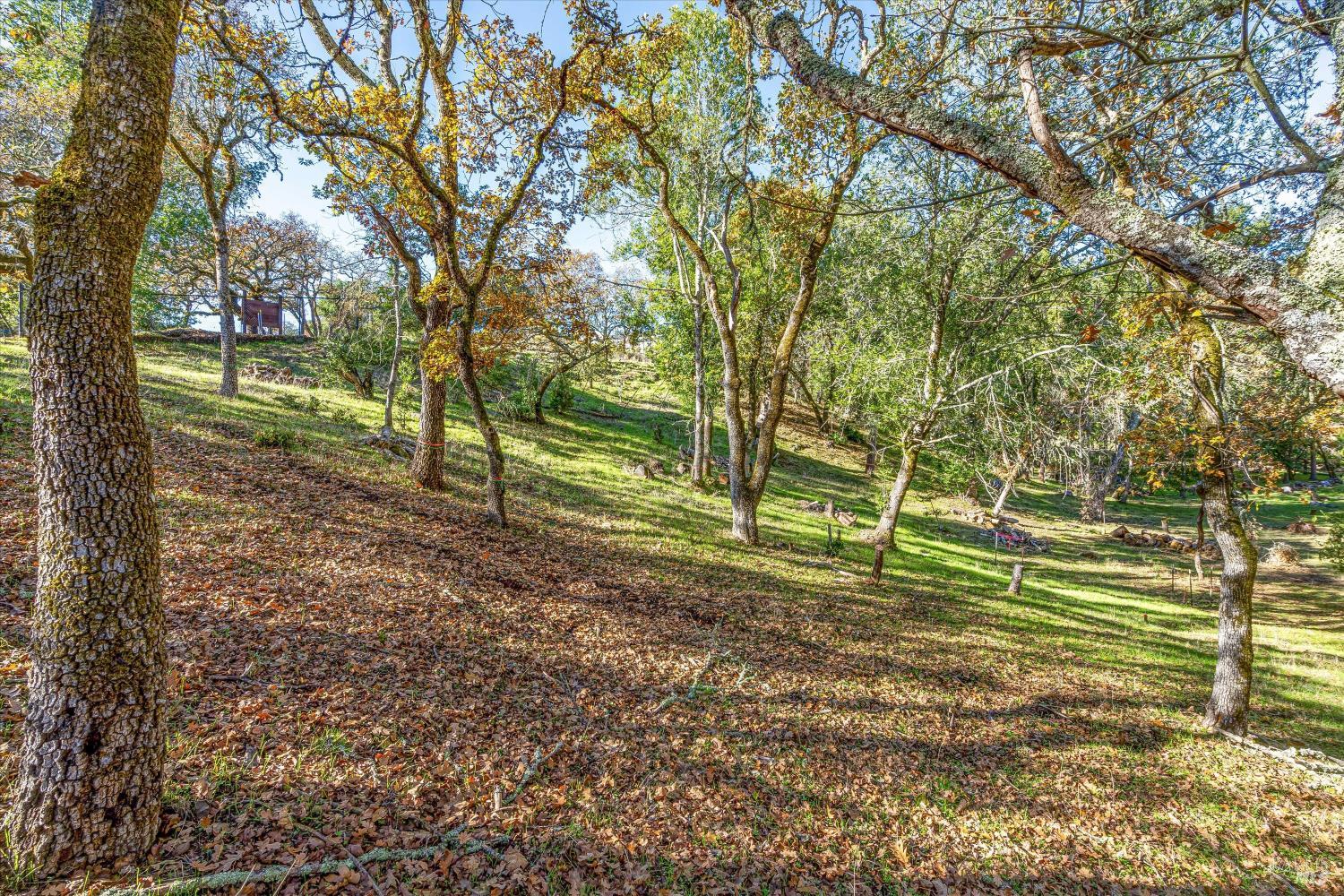 Property photo 25