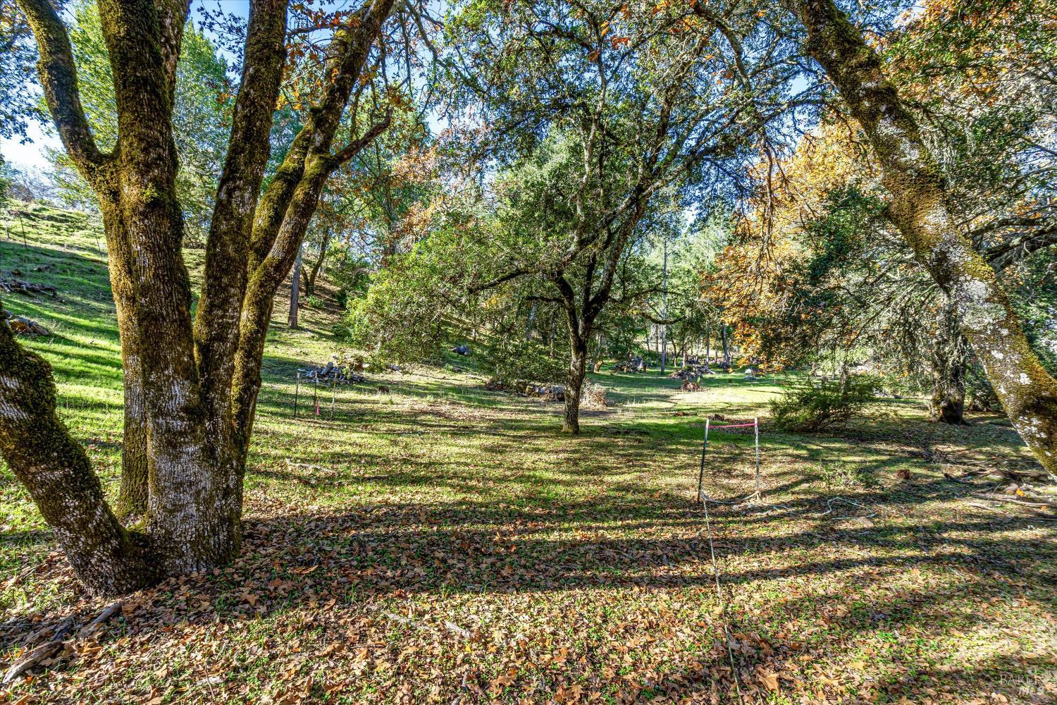 Property photo 26