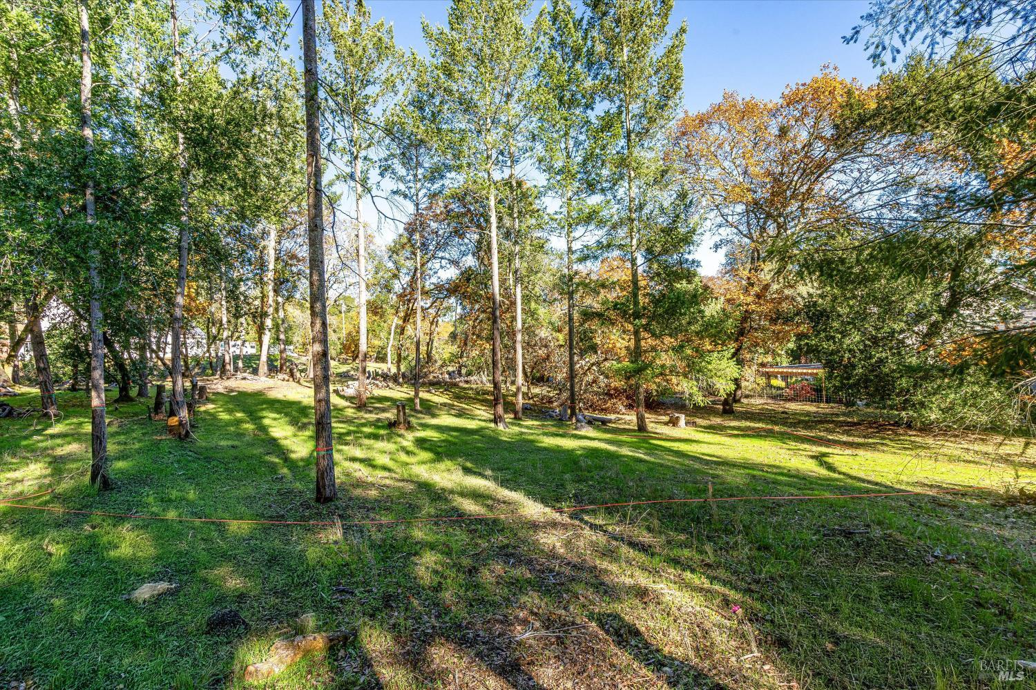 Property photo 29