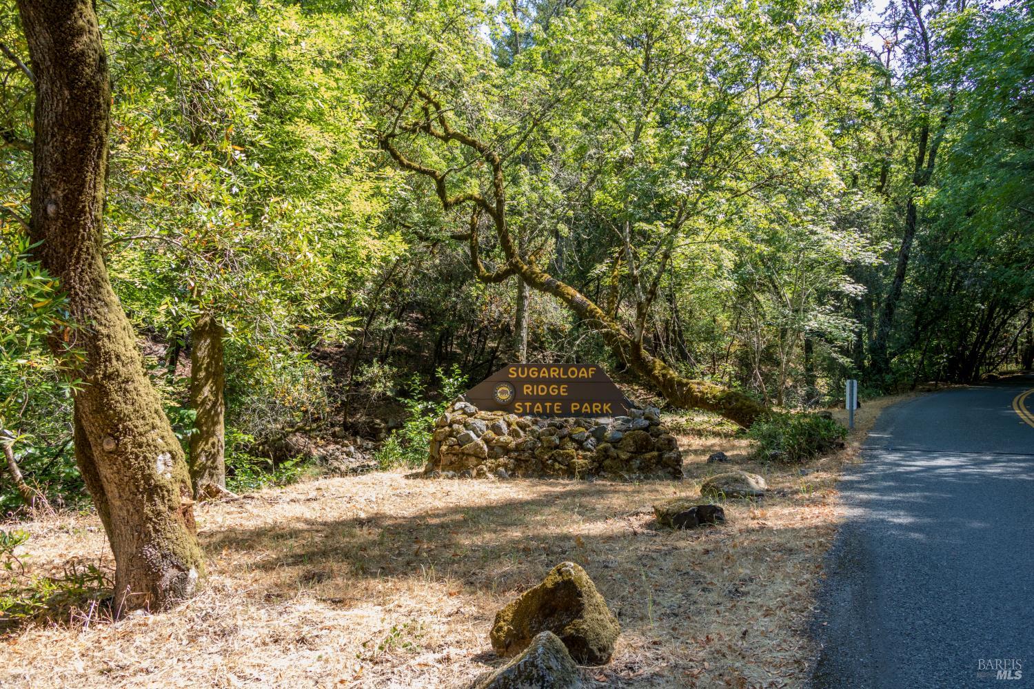Property photo 35