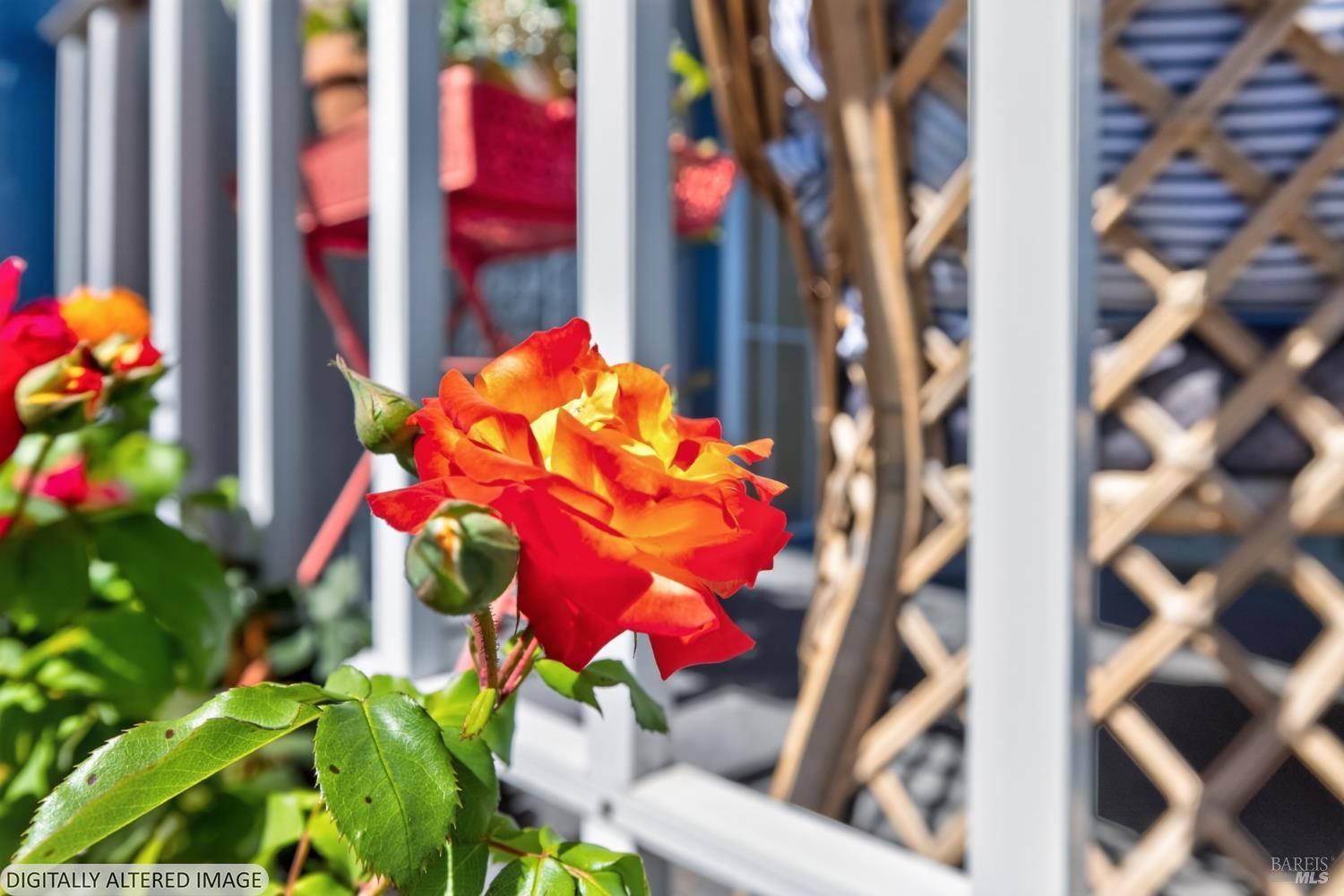 Property photo 40