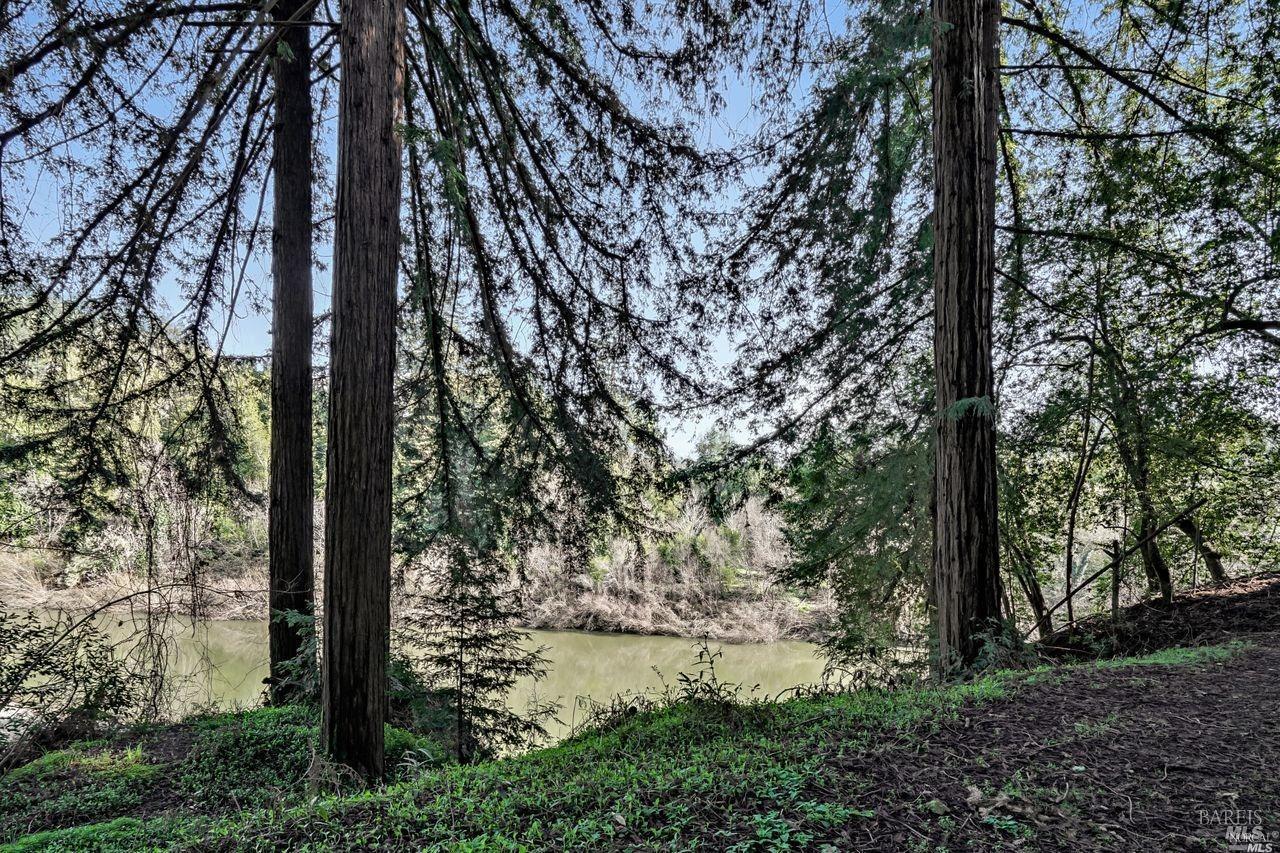 Property photo 49