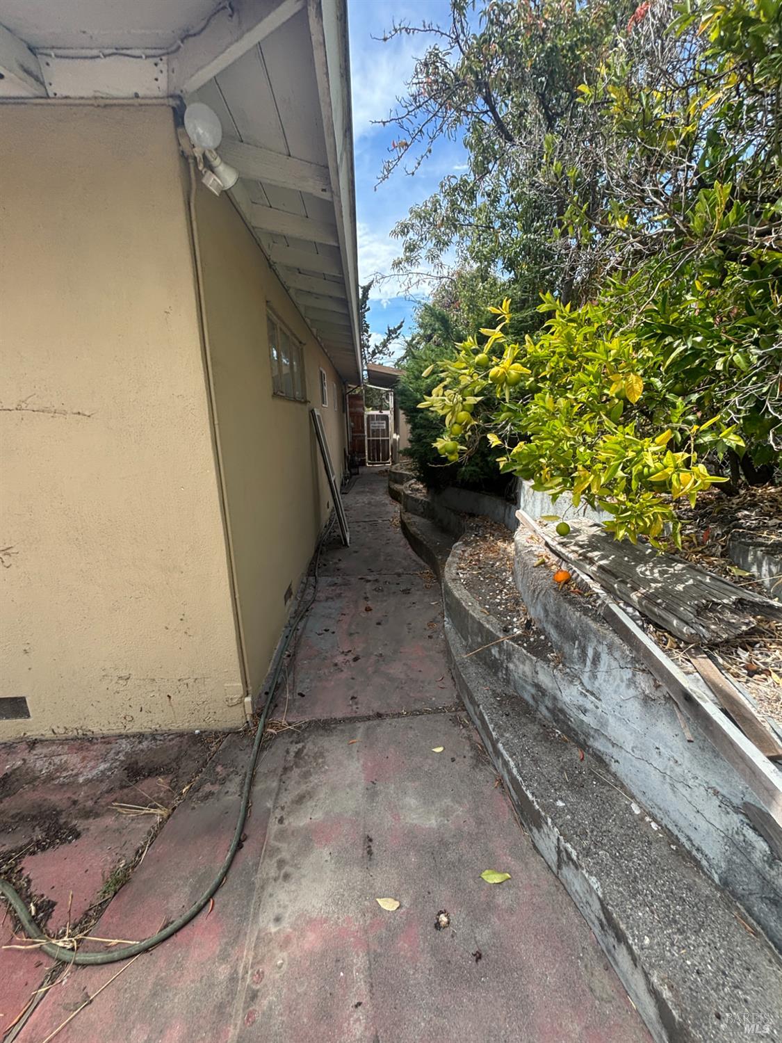 Property photo 22