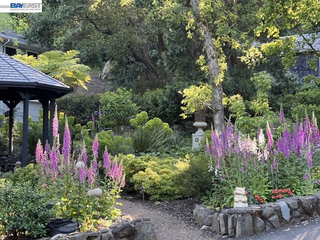 Property photo 51