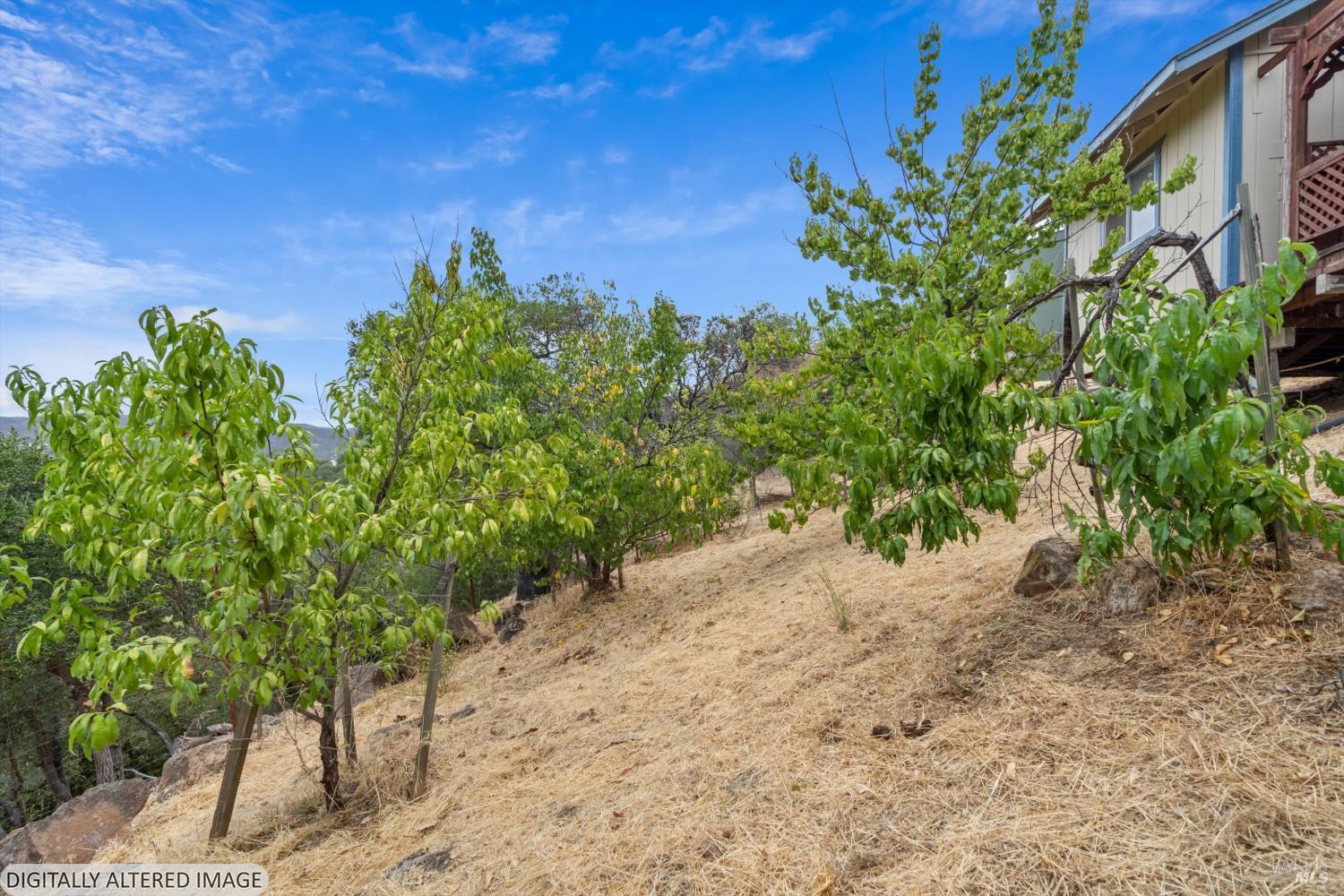 Property photo 31