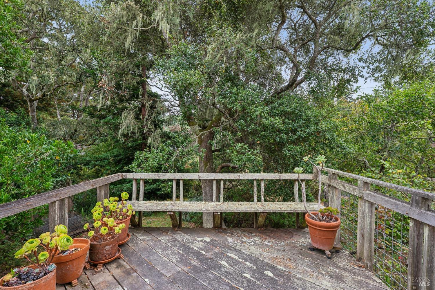 Property photo 35