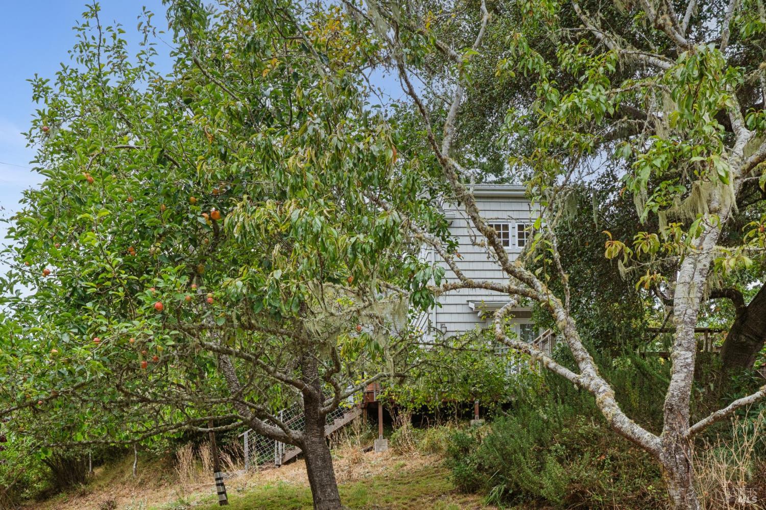 Property photo 37