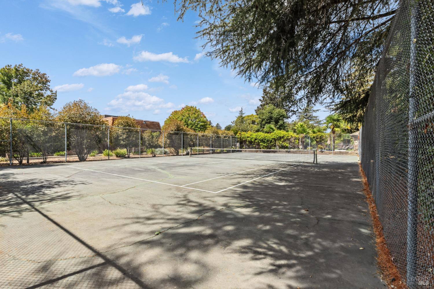 Property photo 41