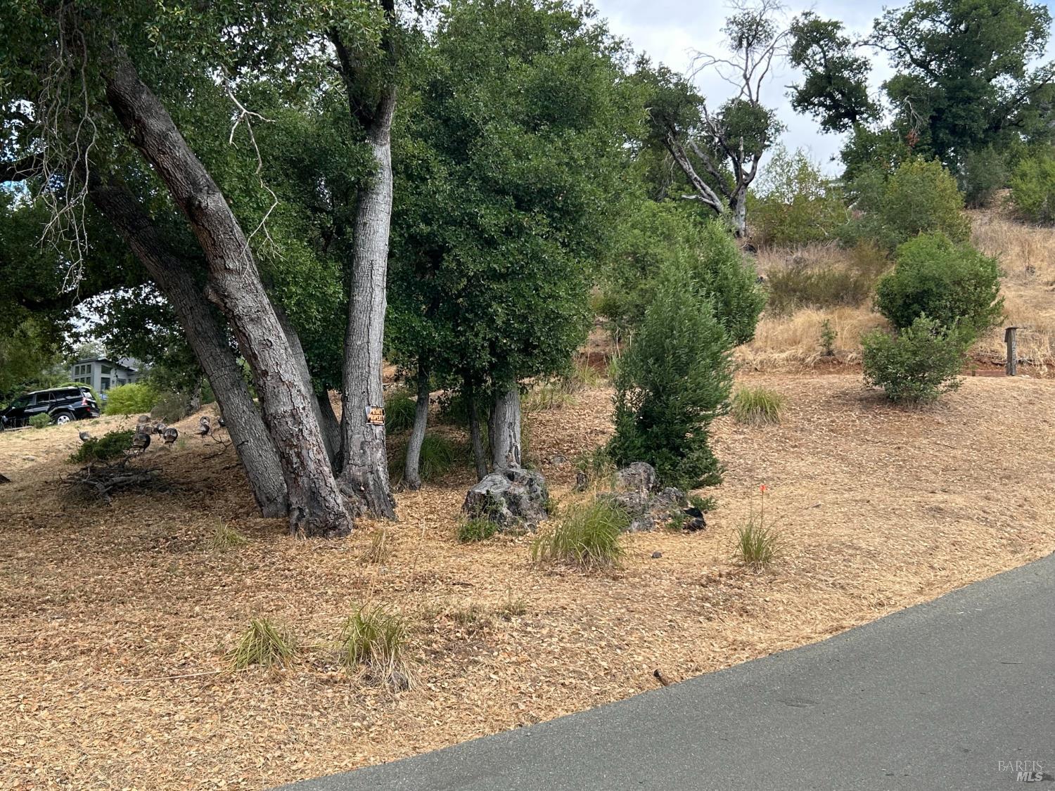Property photo 21