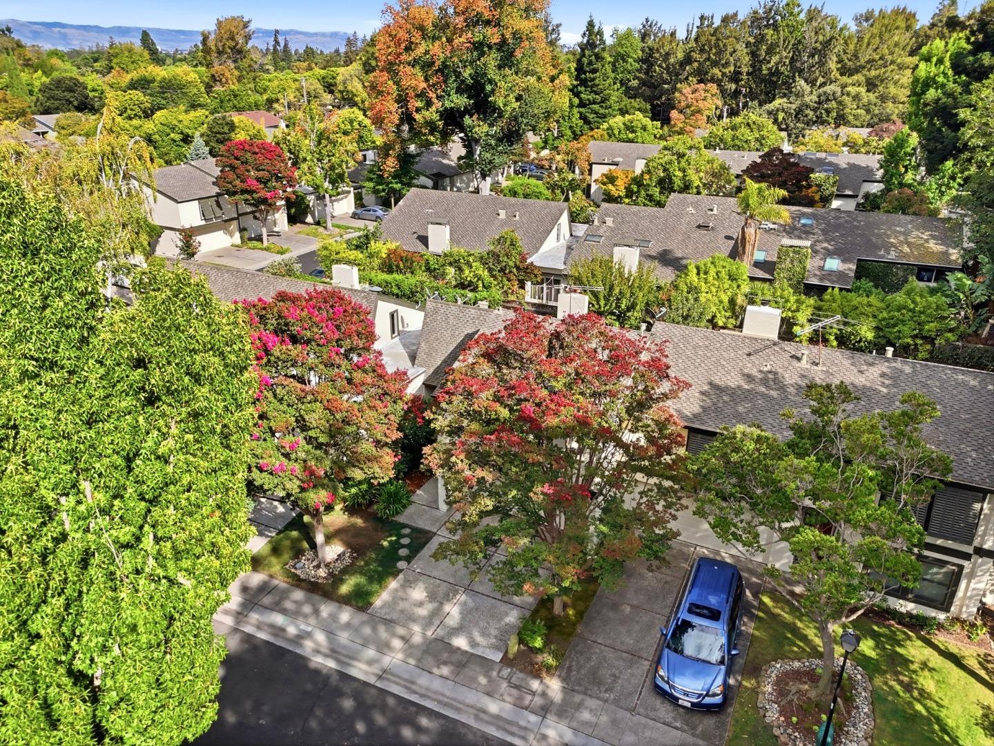 Property photo 46