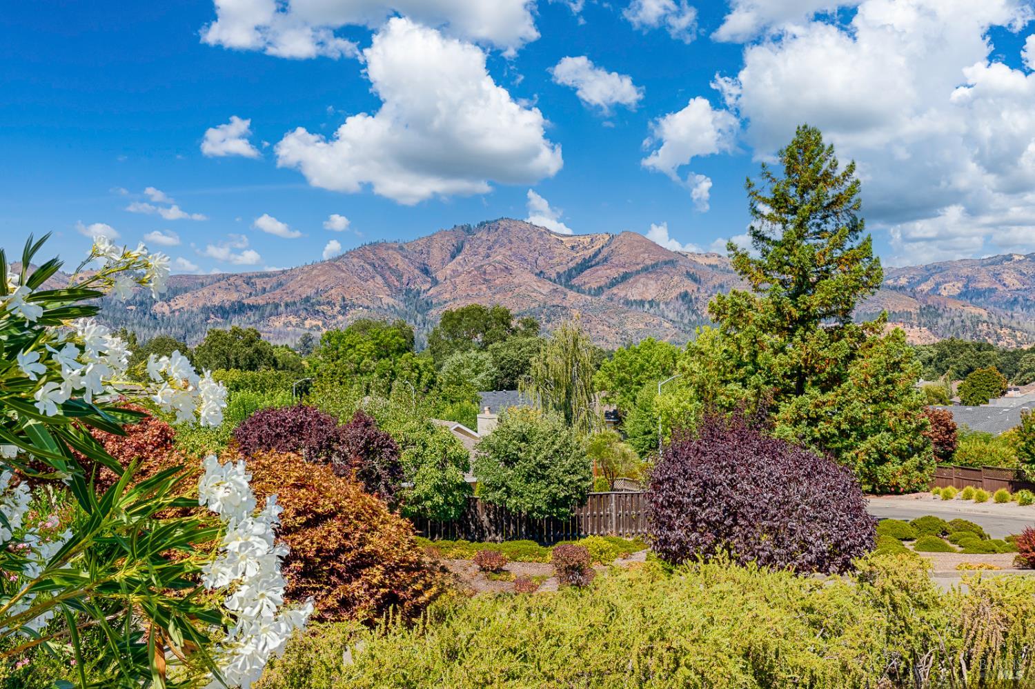 Property photo 48