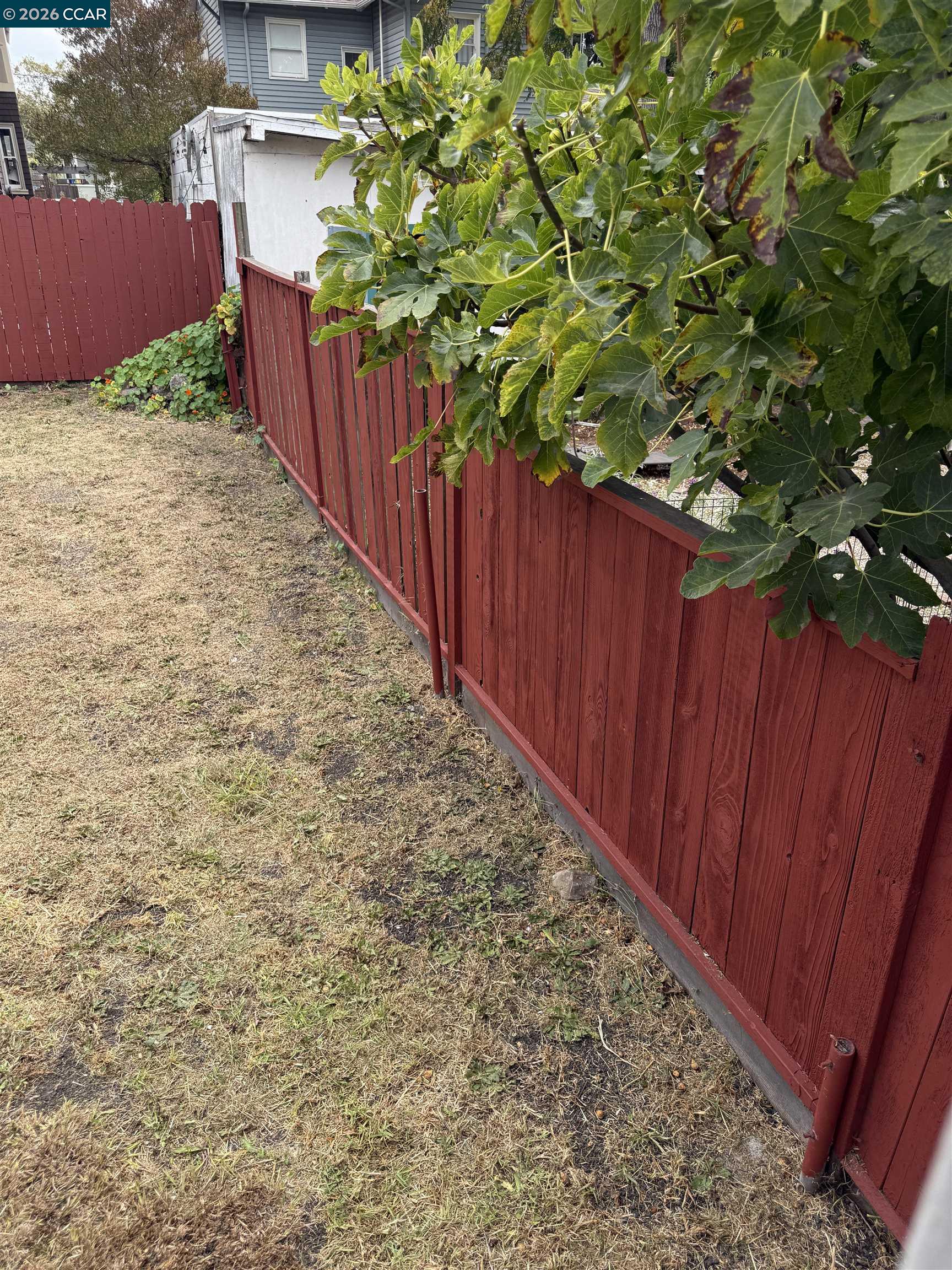 Property photo 35