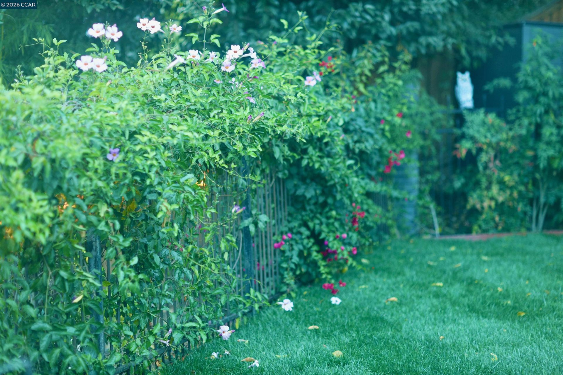 Property photo 33
