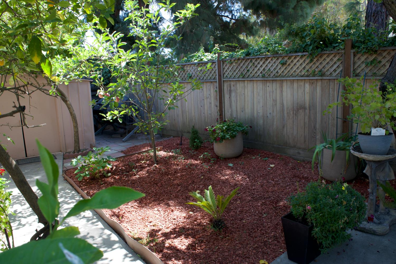 Property photo 41
