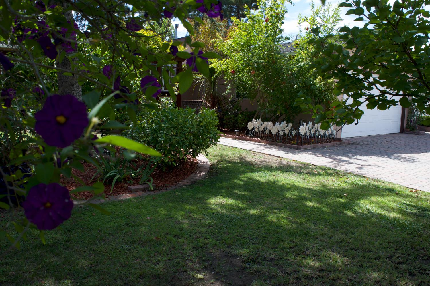 Property photo 50