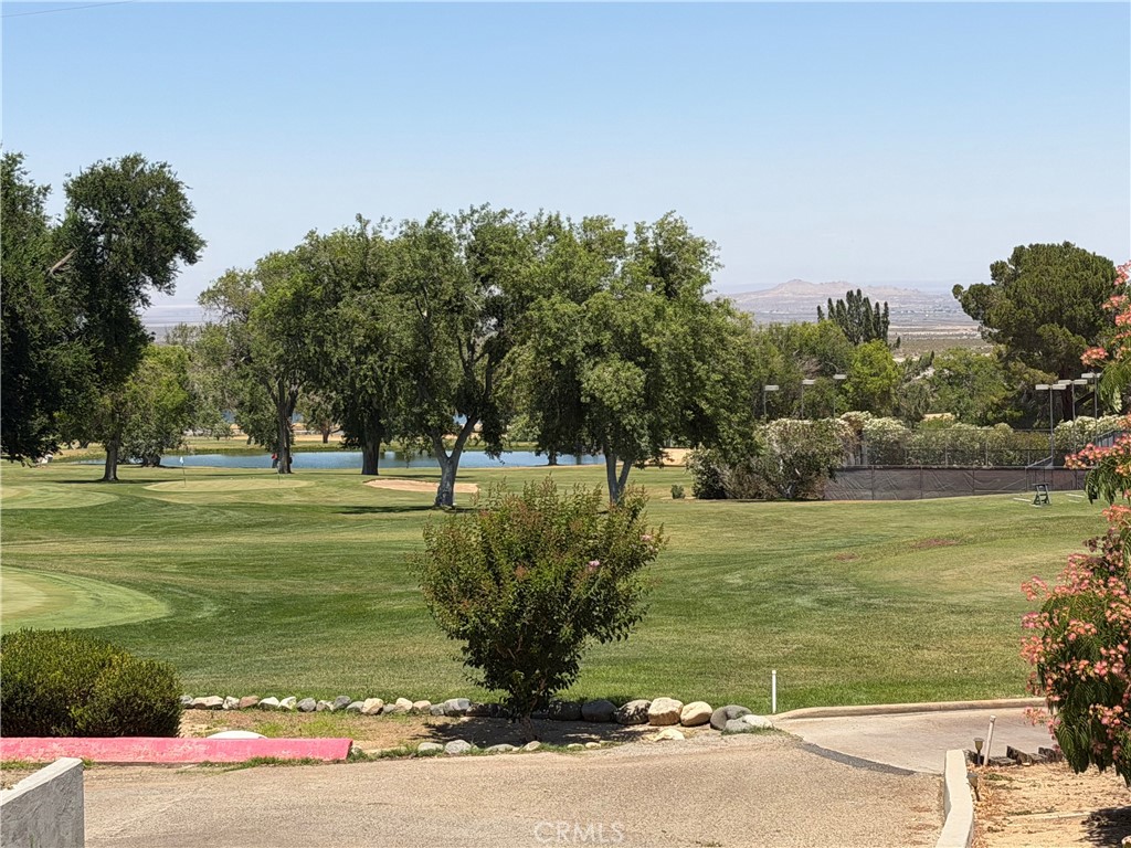 Property photo 41