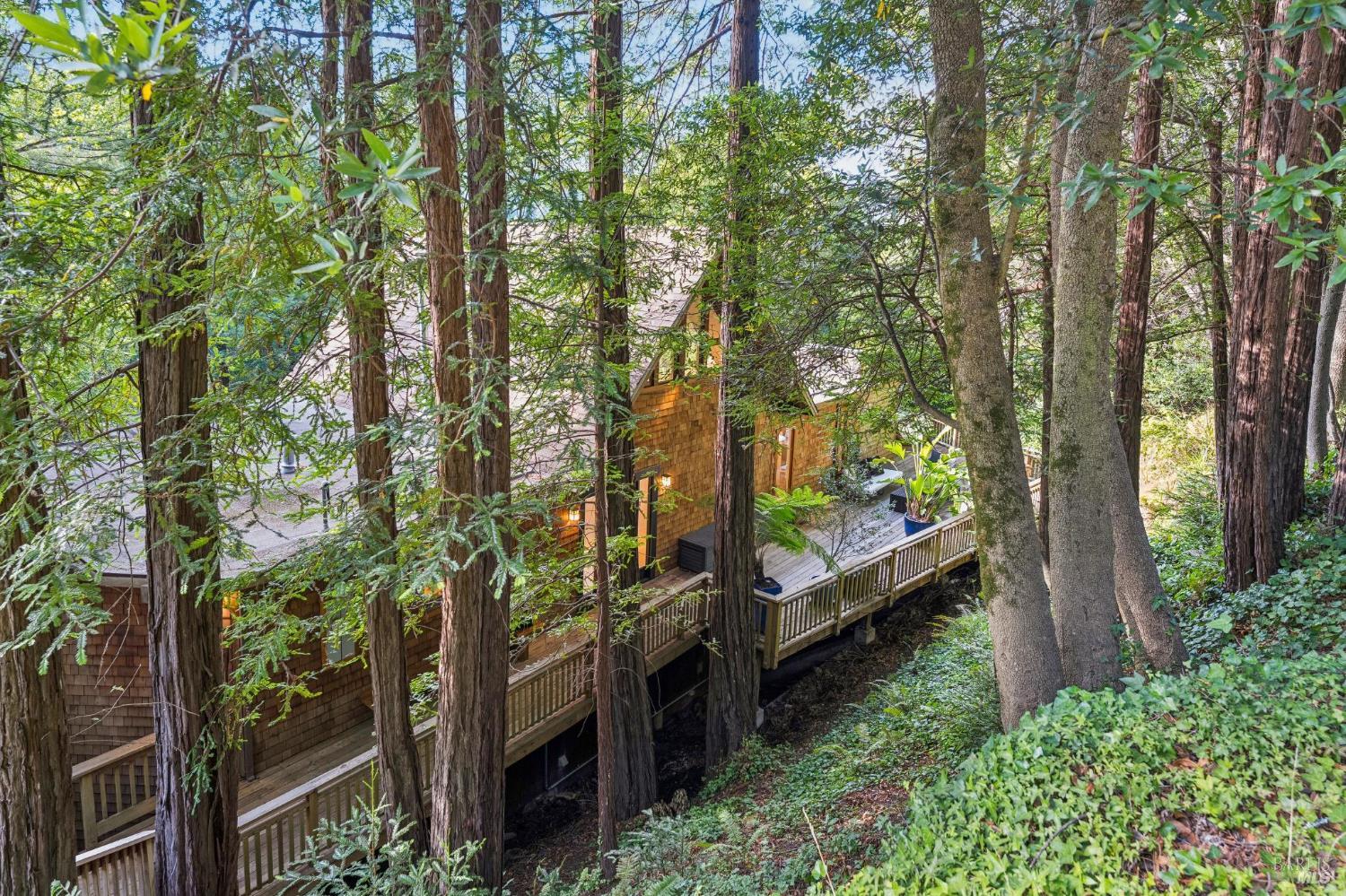 Property photo 50