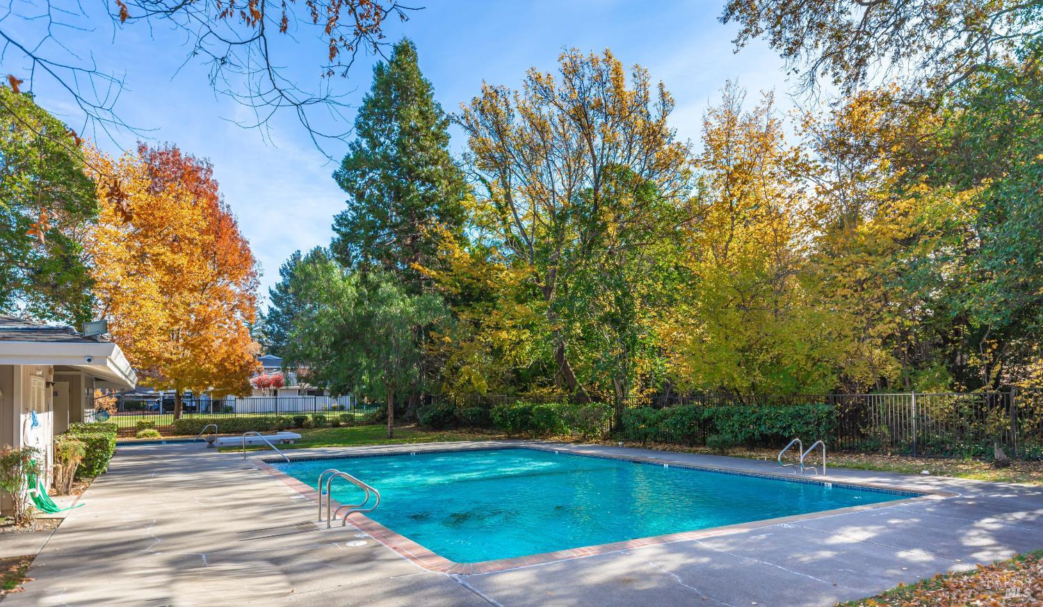 Property photo 43