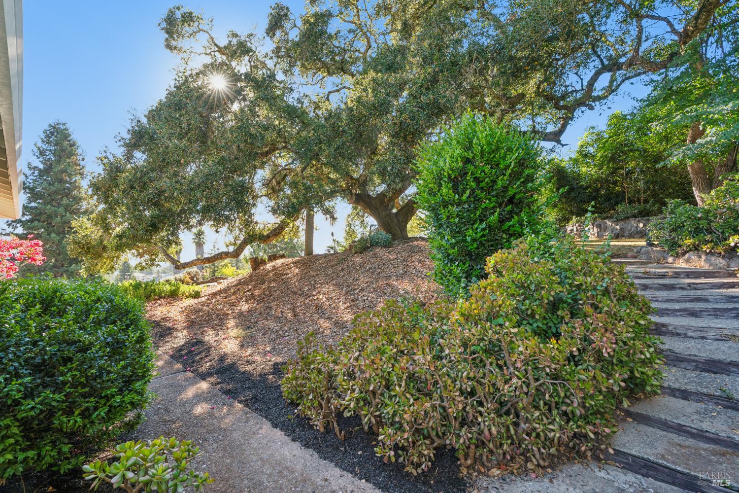 Property photo 46