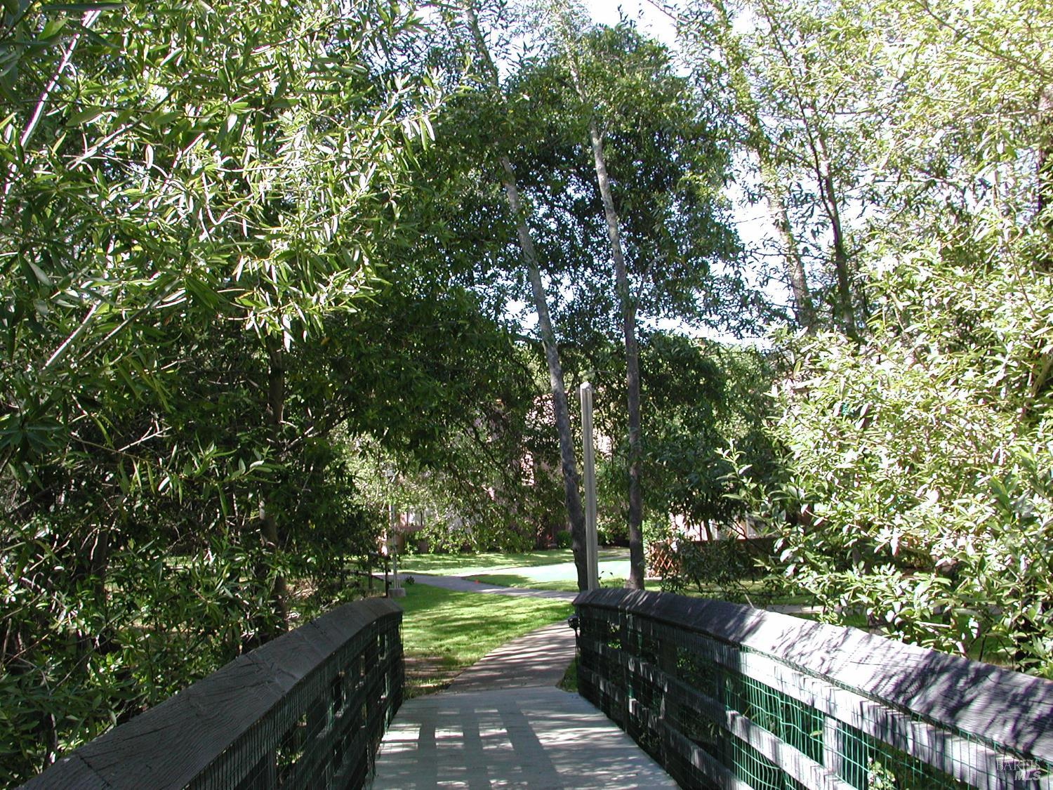 Property photo 51