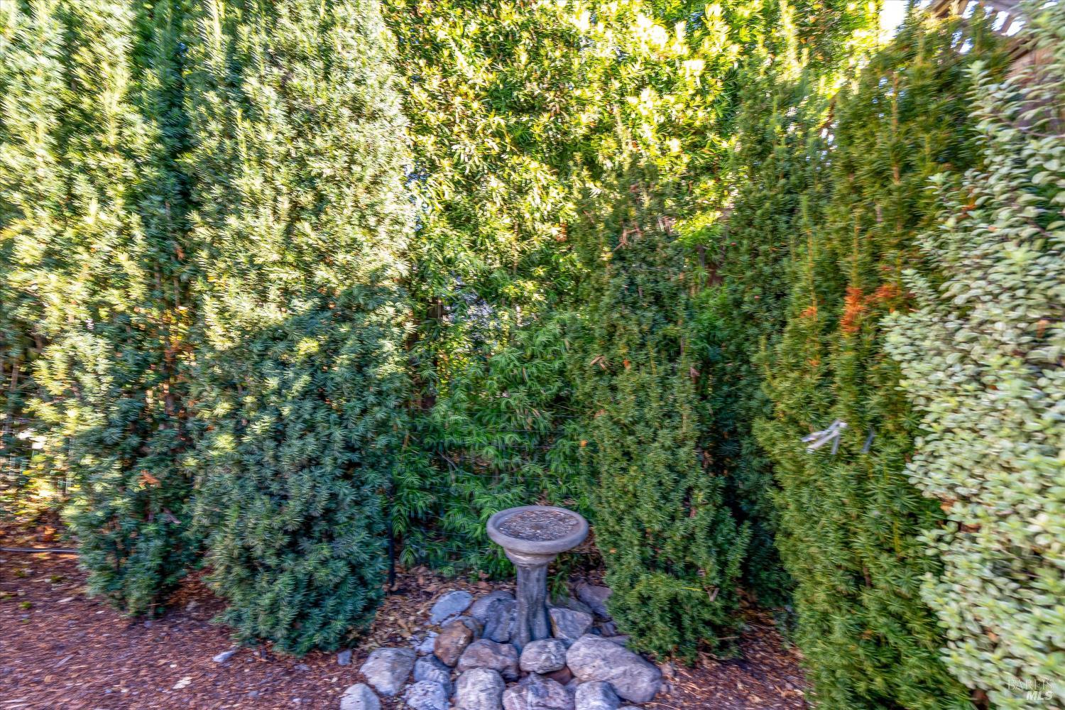 Property photo 47