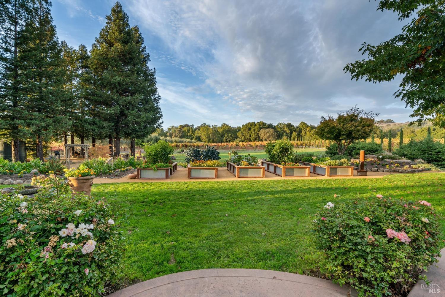 Property photo 22