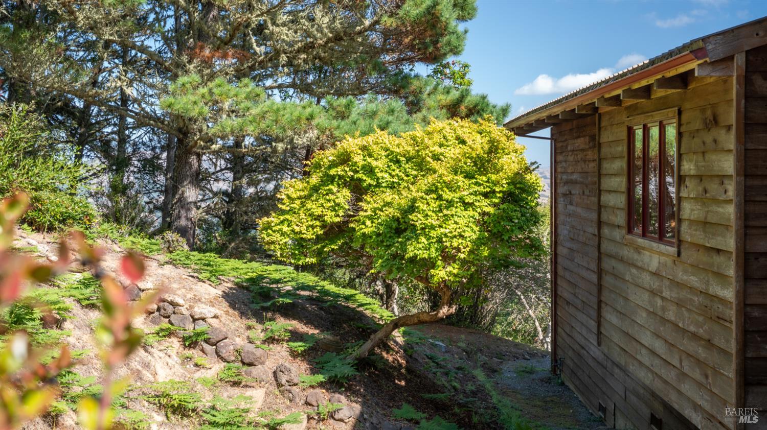 Property photo 43