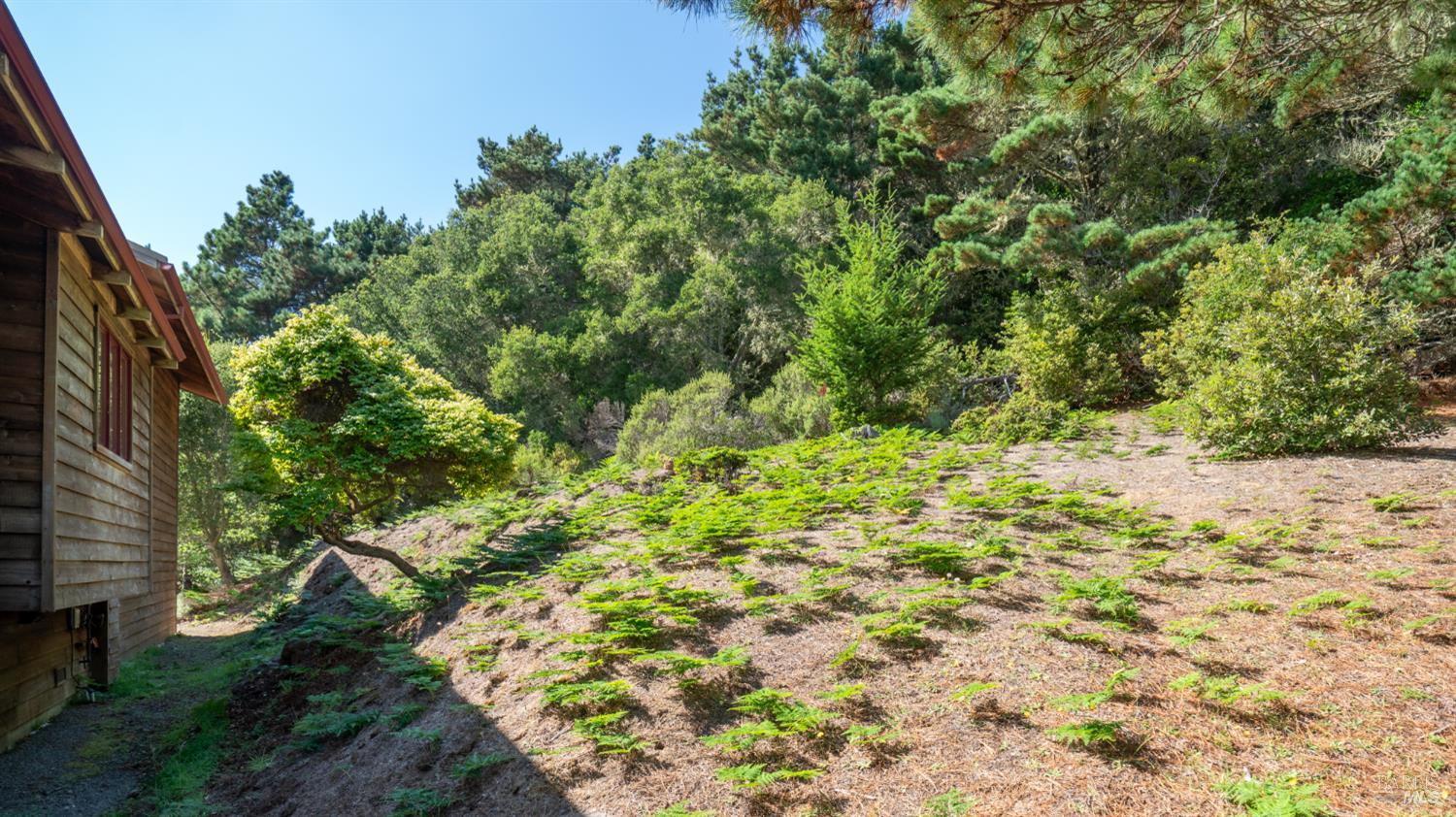 Property photo 44