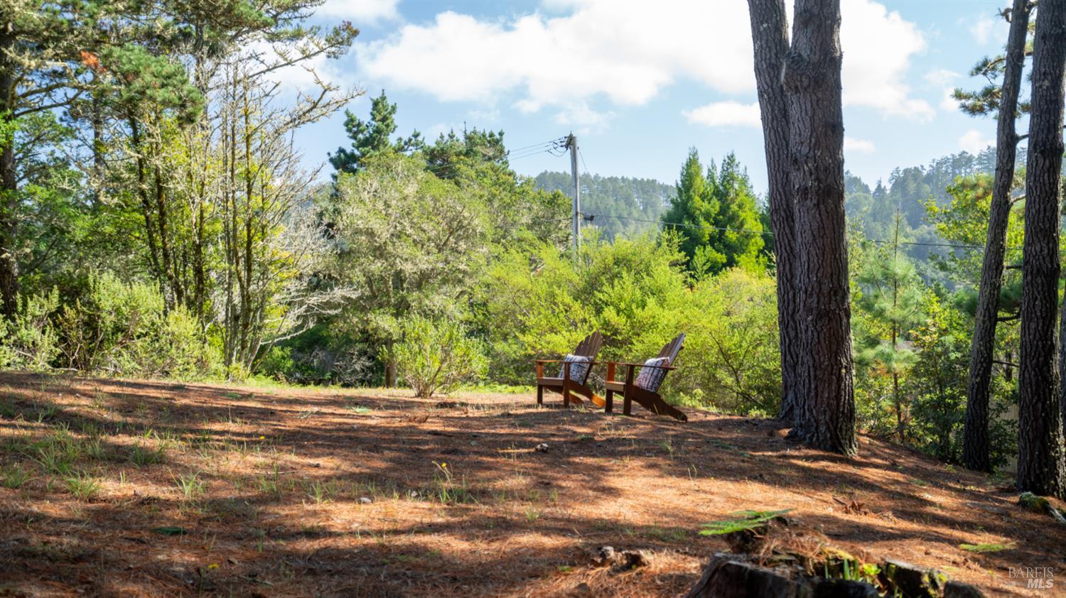 Property photo 49