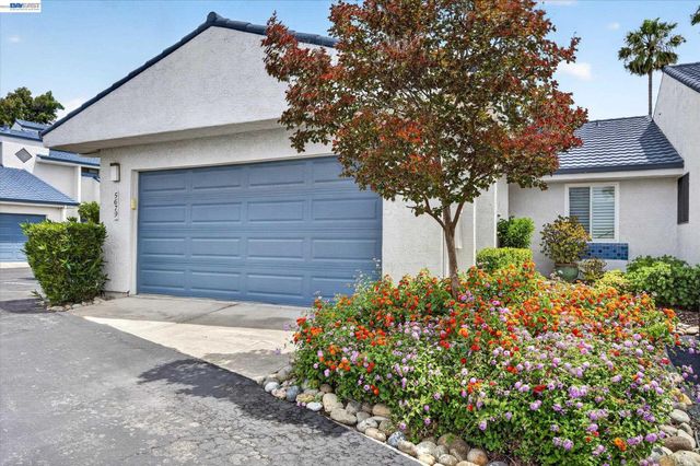 Property photo 49