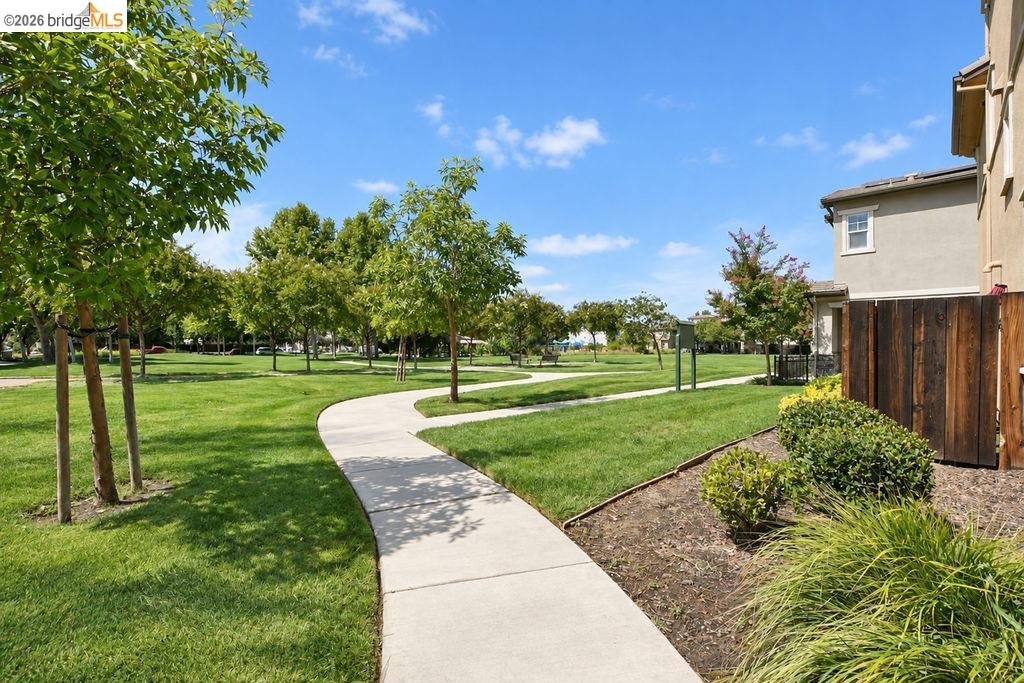 Property photo 46