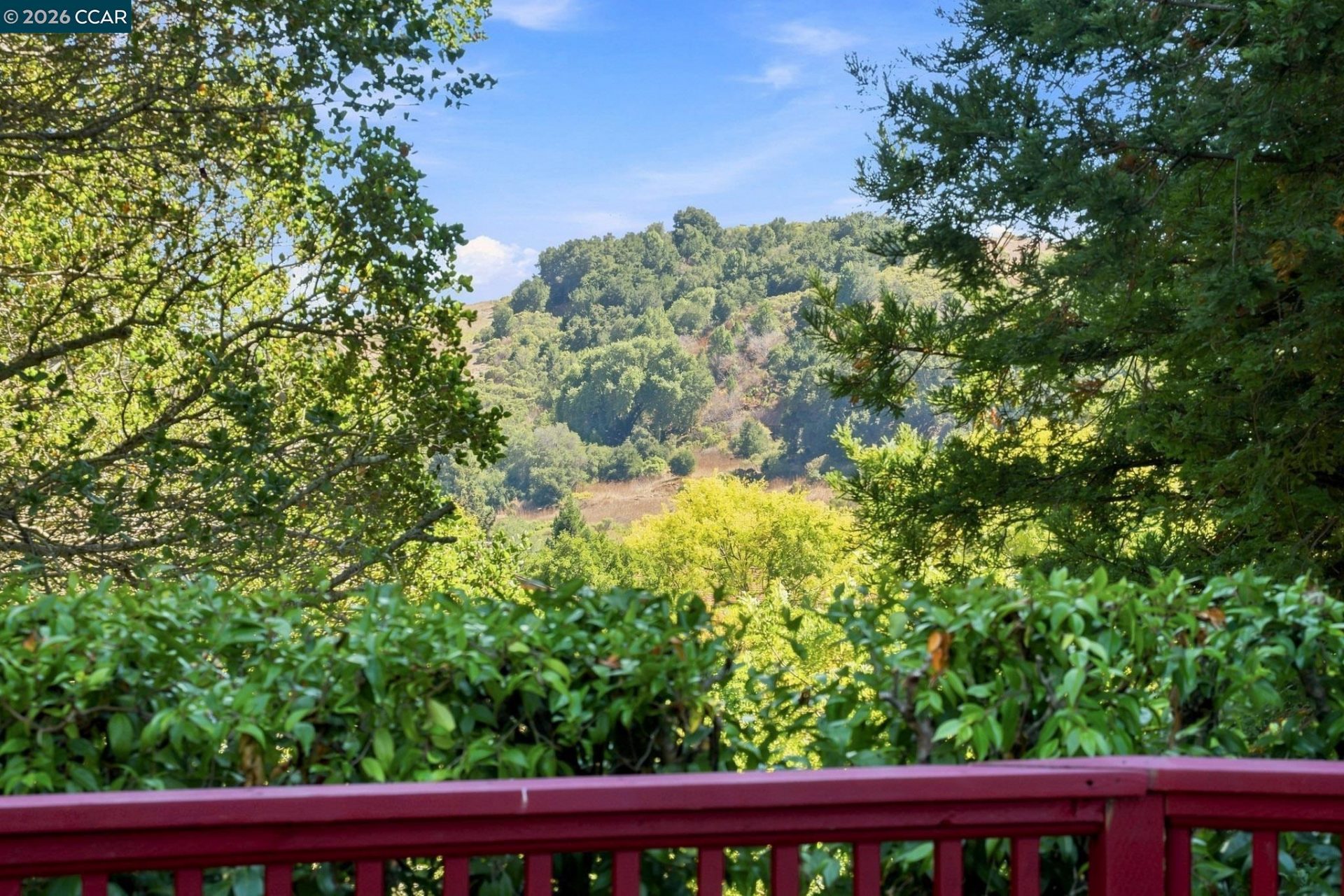 Property photo 42