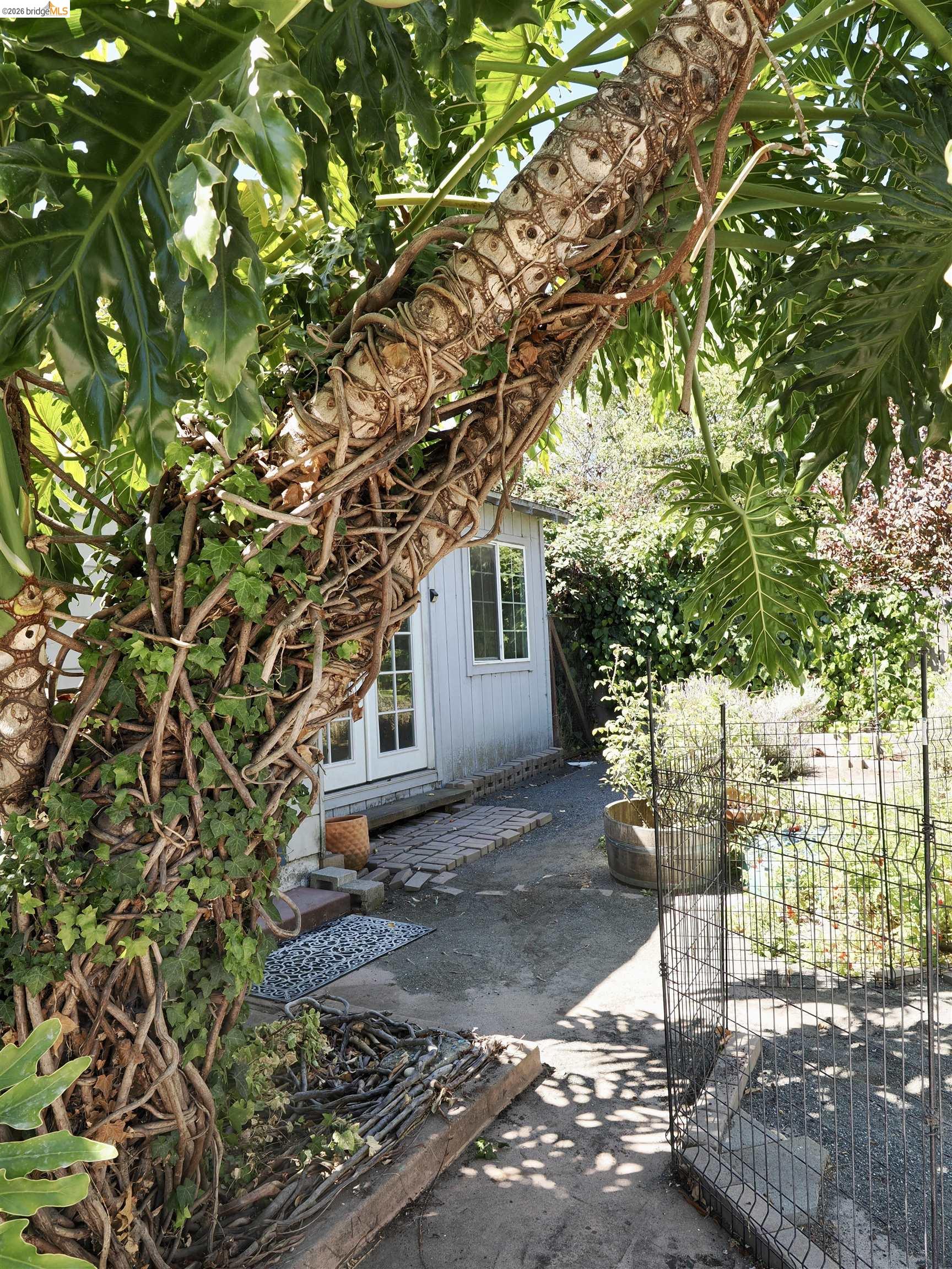 Property photo 22