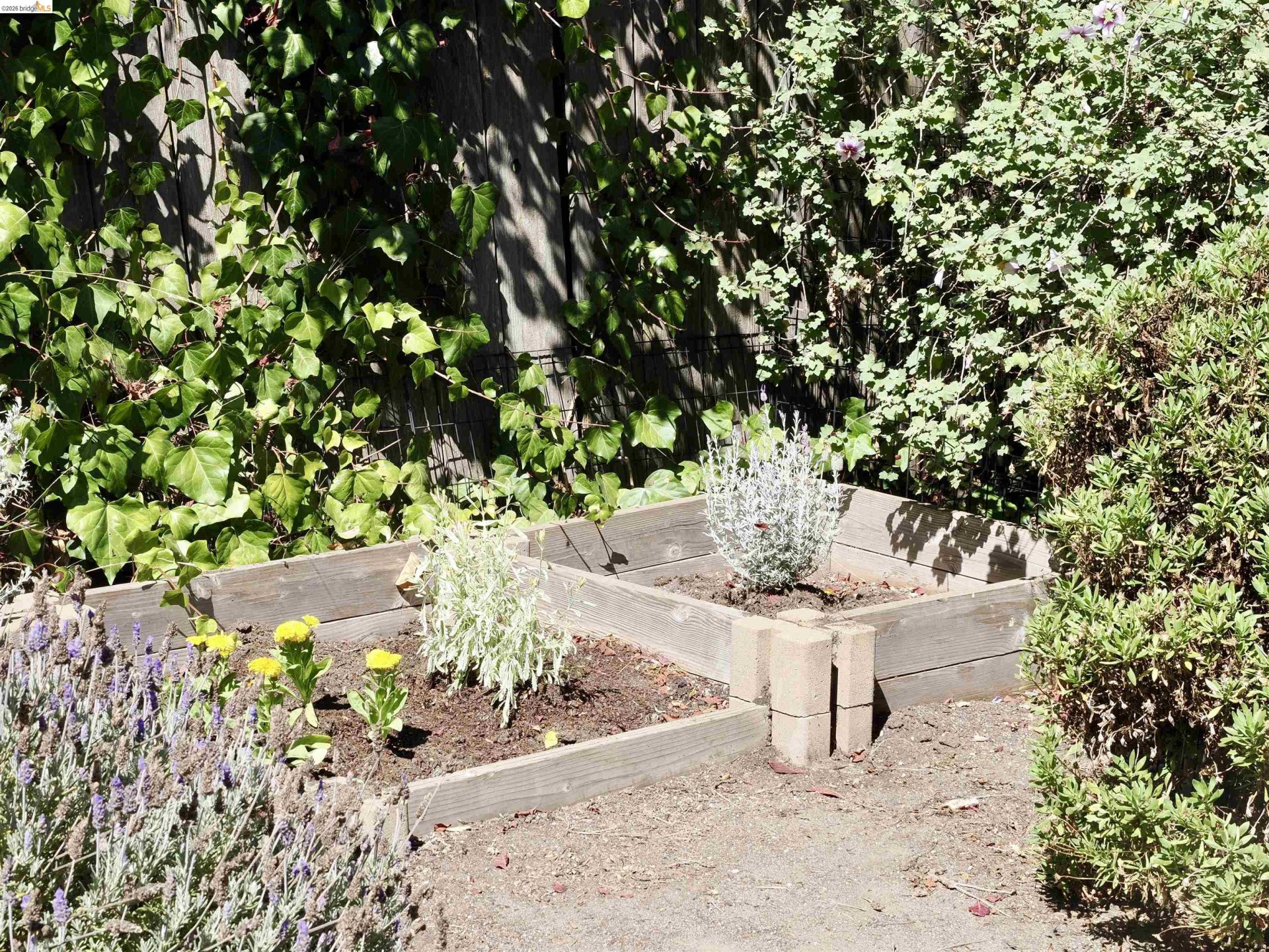 Property photo 26