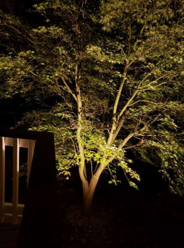 Property photo 28