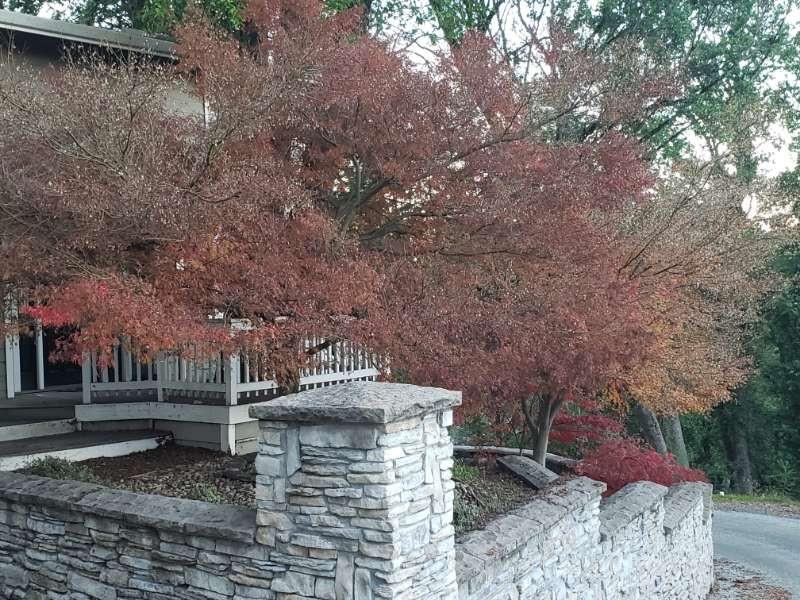 Property photo 31