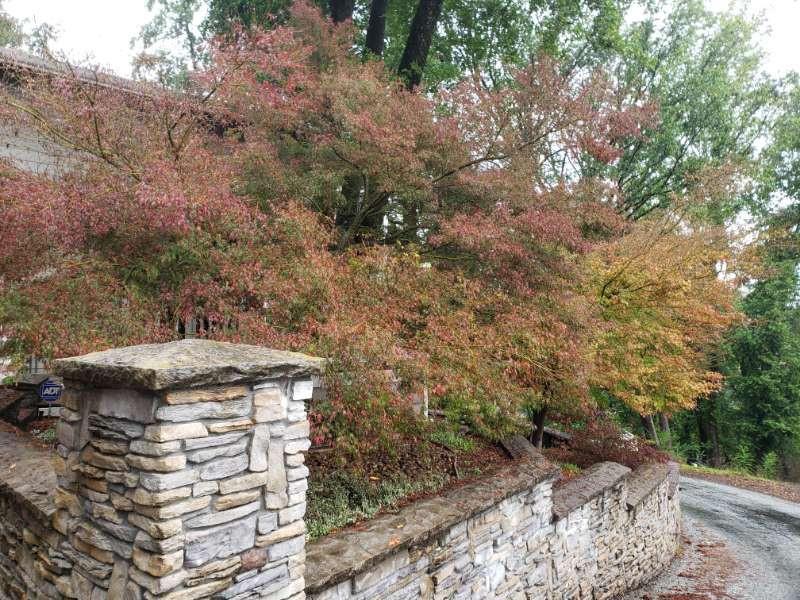 Property photo 32