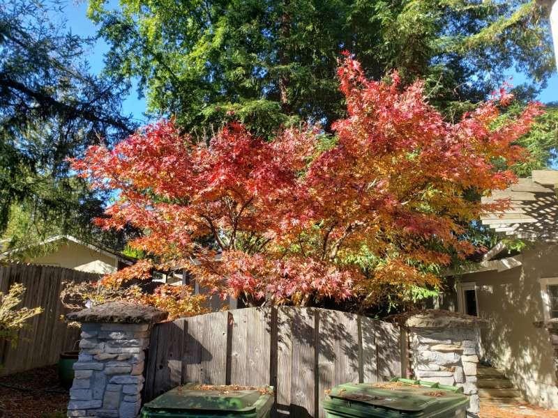 Property photo 33
