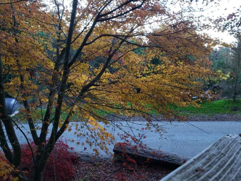 Property photo 36