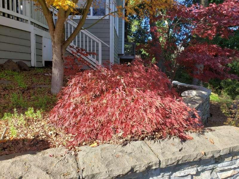 Property photo 37