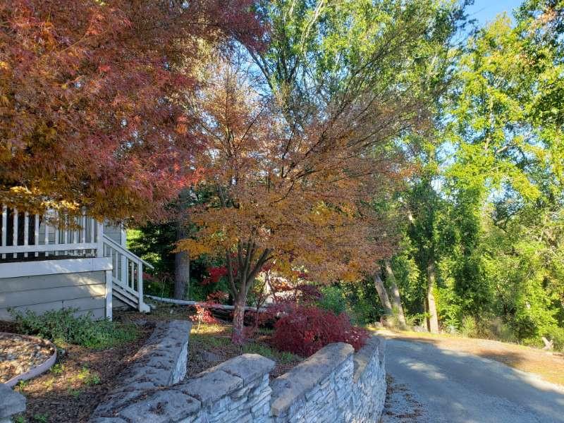 Property photo 39