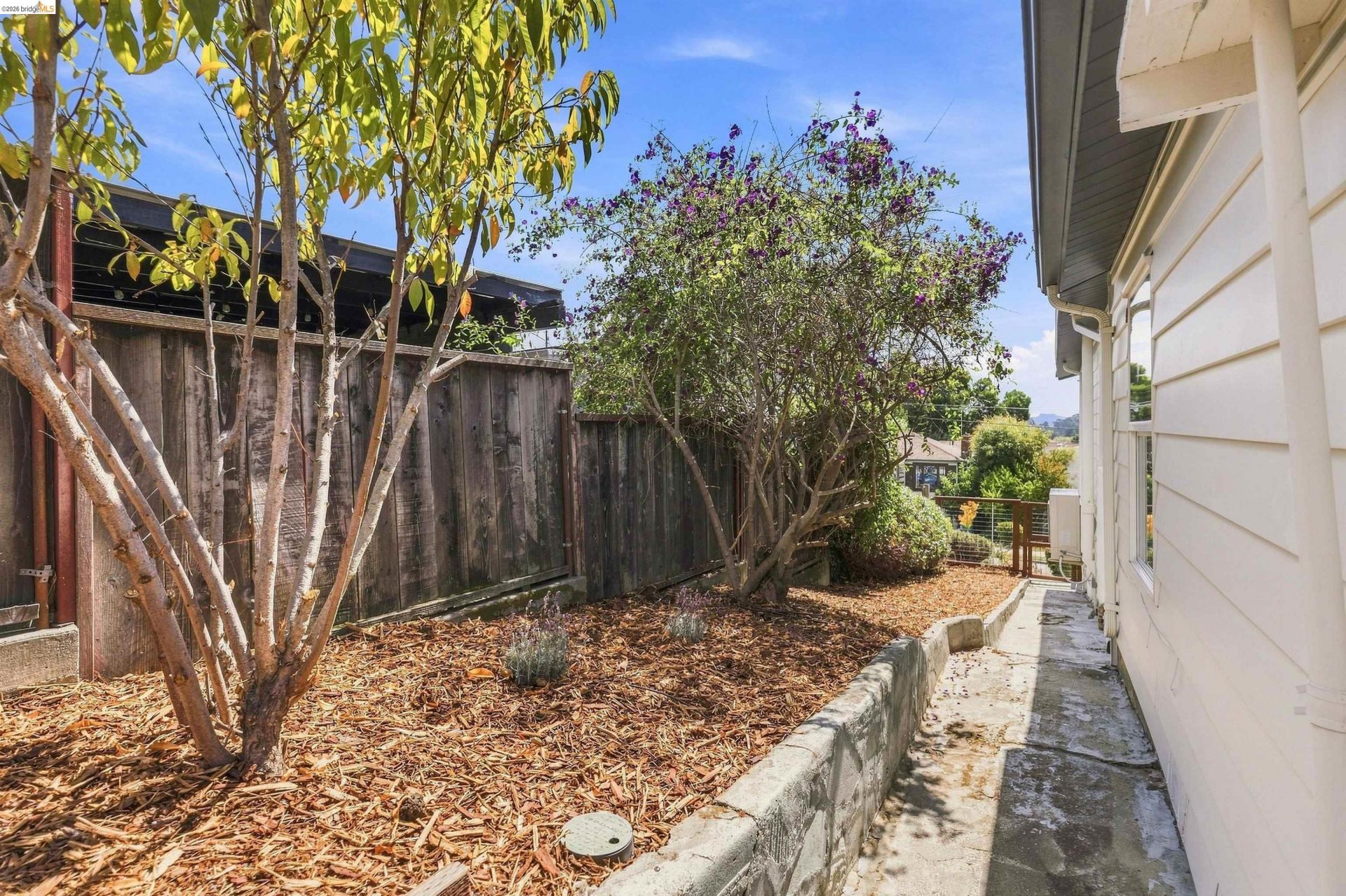 Property photo 46