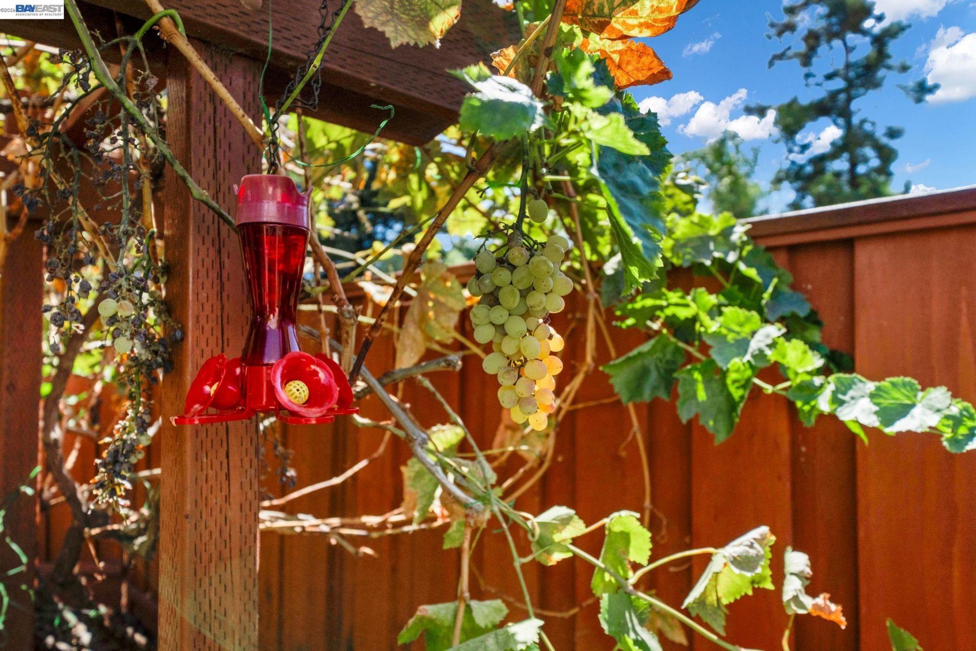 Property photo 40
