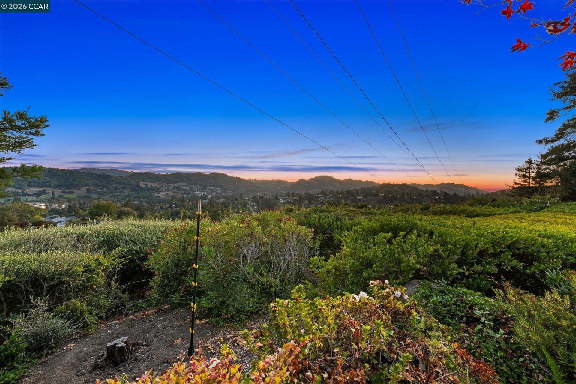 Property photo 44
