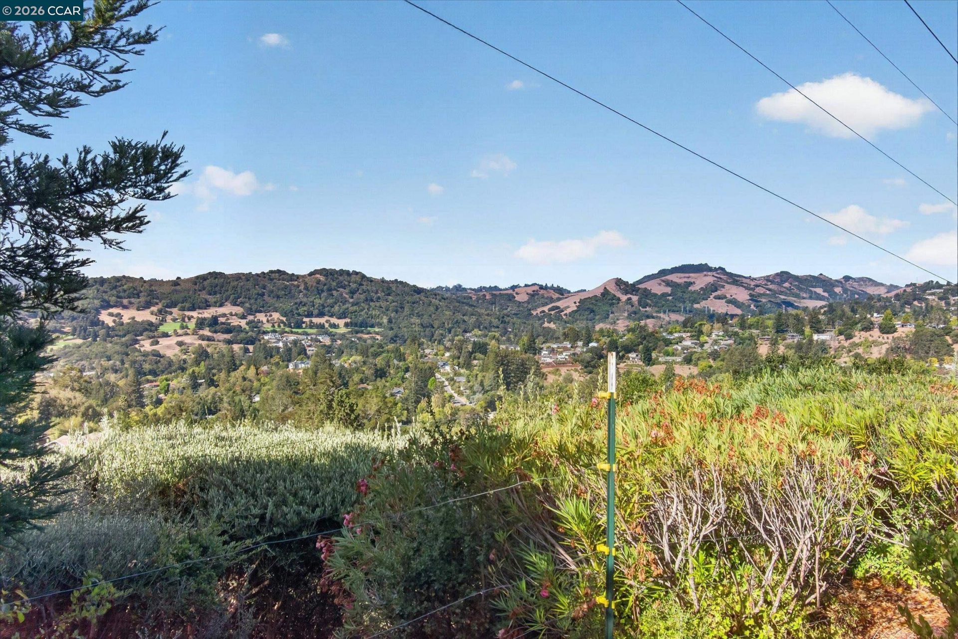 Property photo 46