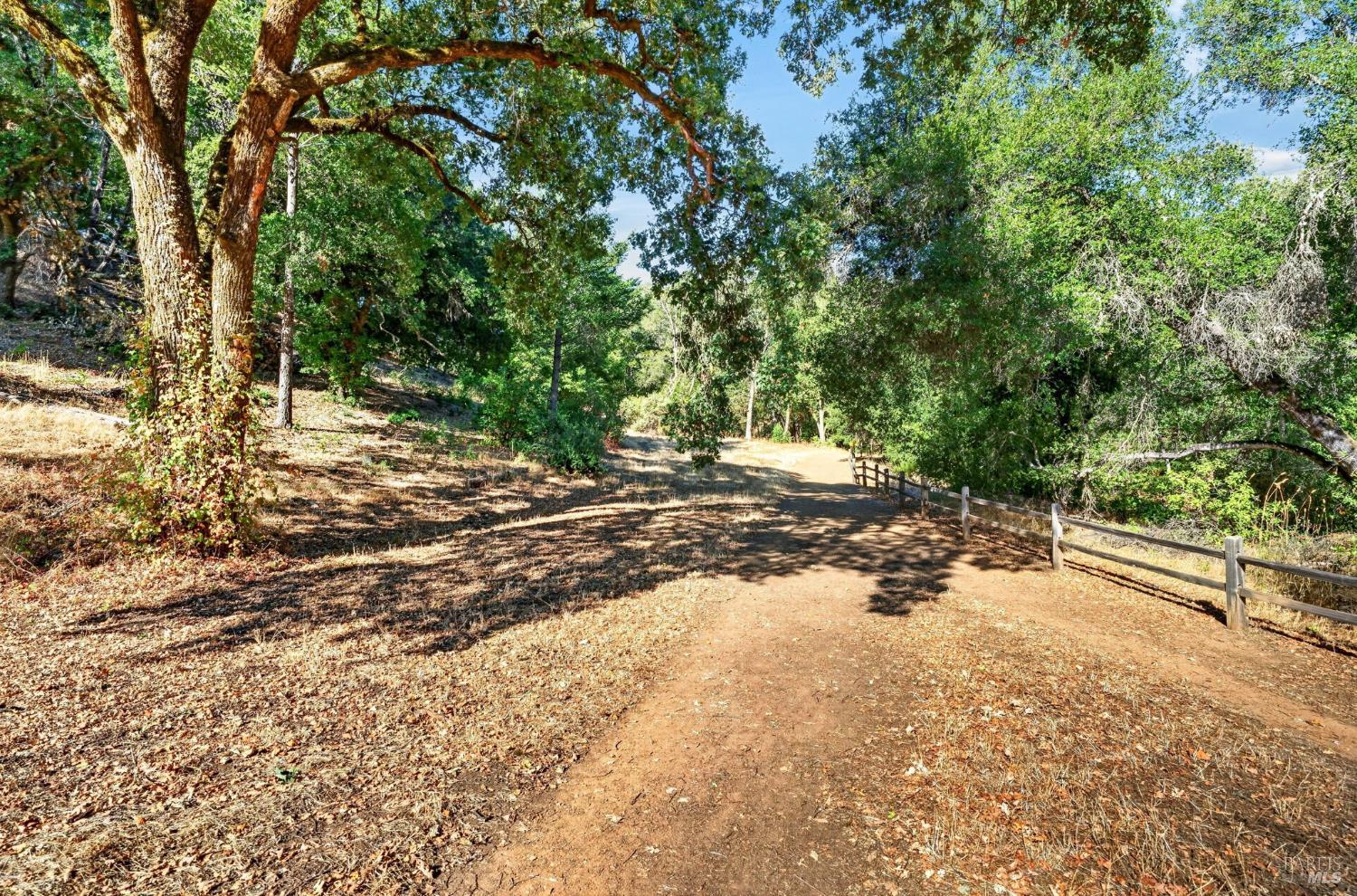 Property photo 46