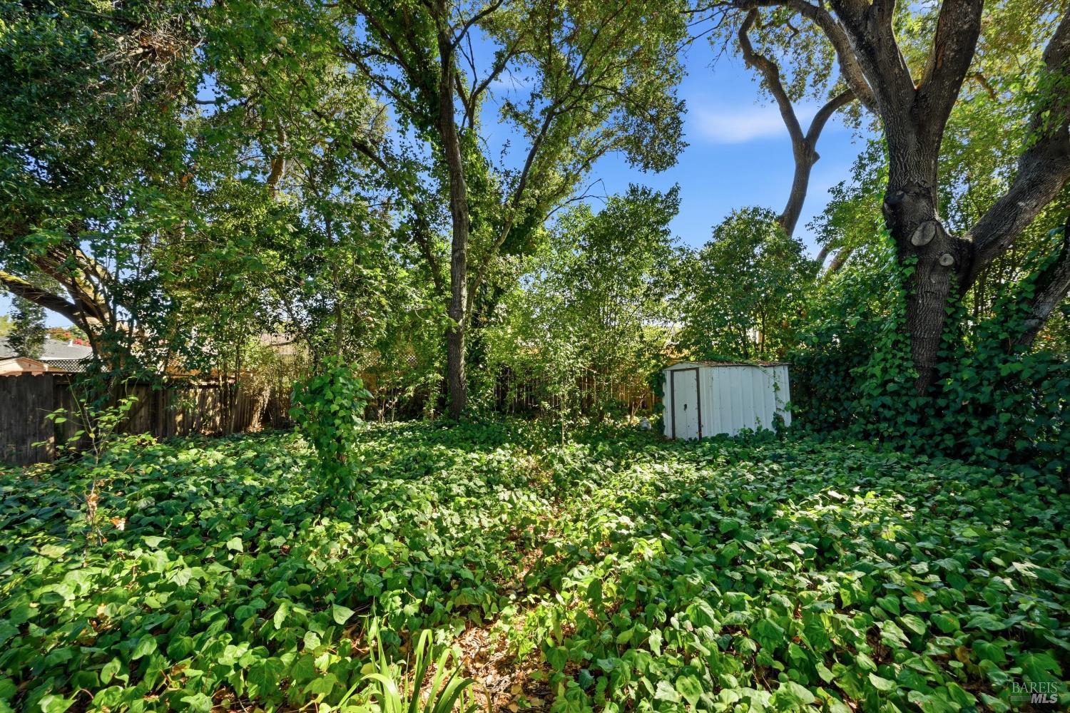 Property photo 34